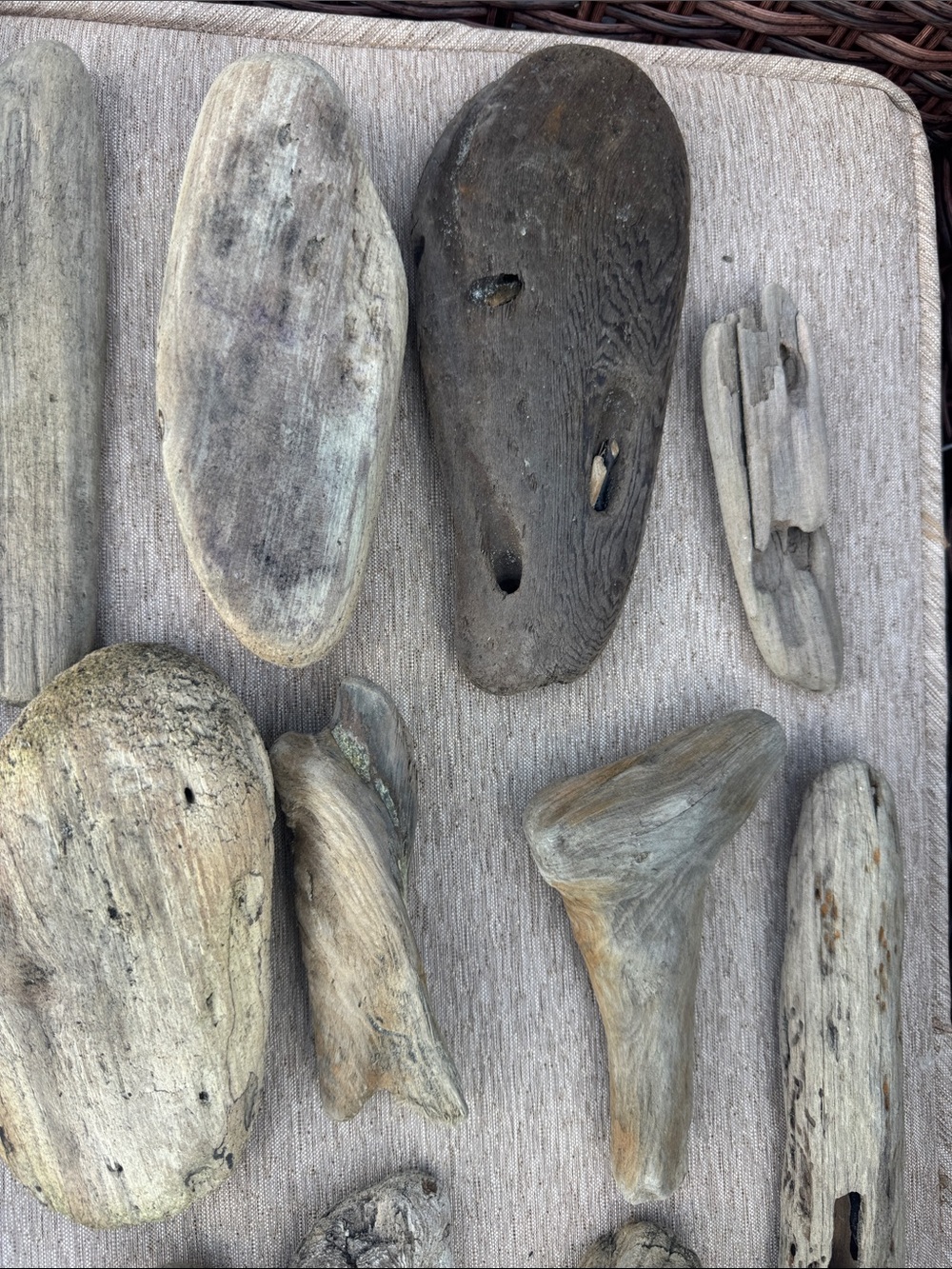 20 Pacific Beach Natural Driftwood Collection - Assorted Beach Wood Pieces - Picture 7 of 10